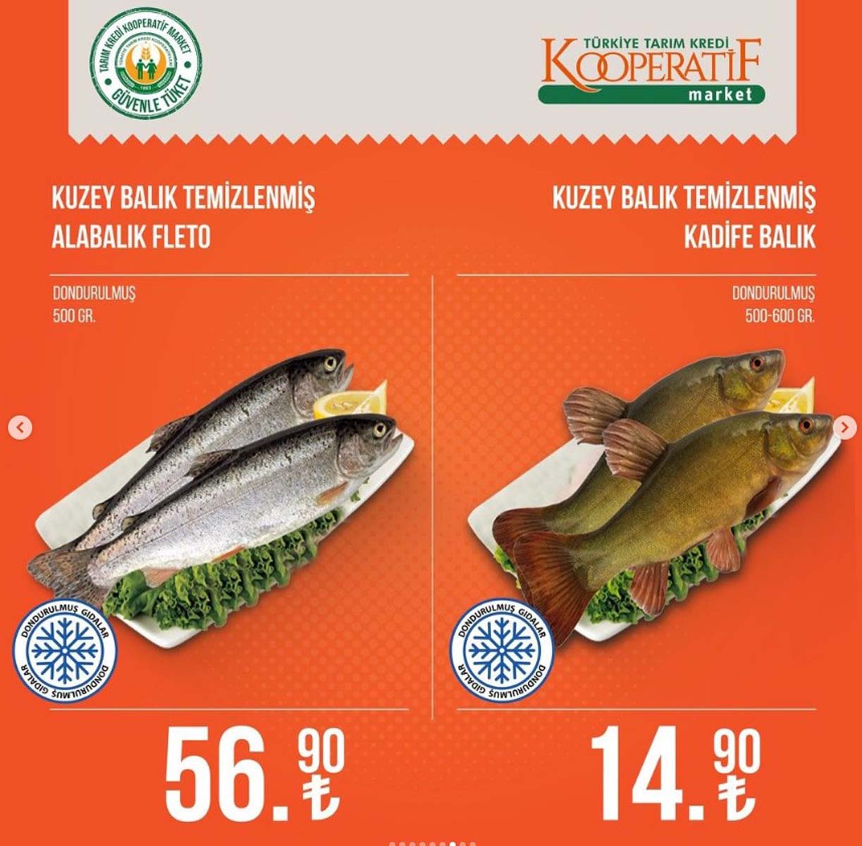 Tarım Kredi Kooperatif market kataloğu 15 Ağustos 2022 Pazartesi |Günün indirimli ürünleri belli oldu 