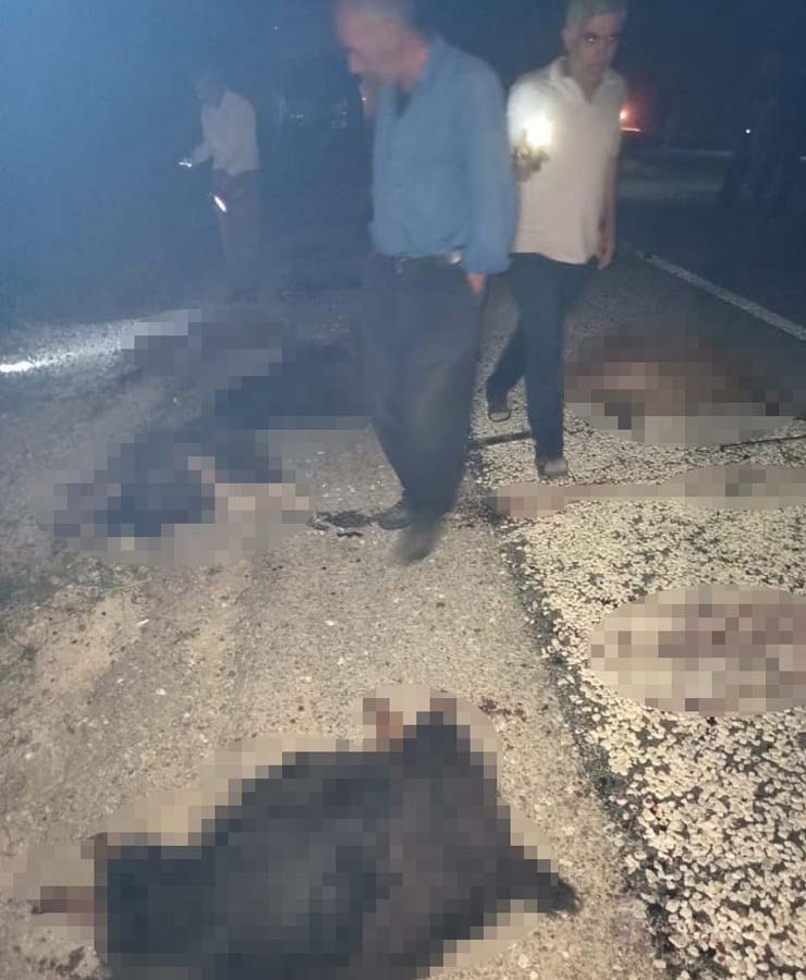 Bitlis'te minibüs kazası! 40 koyun telef oldu