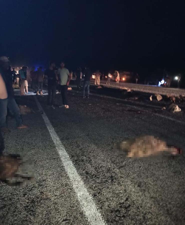 Bitlis'te minibüs kazası! 40 koyun telef oldu