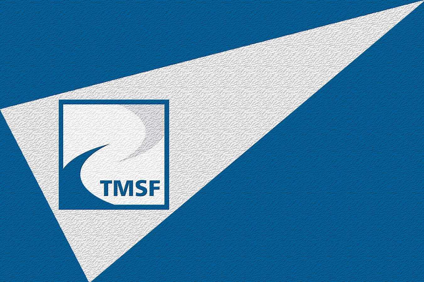 Resmi Gazete'de yayımlandı! Ticari mevduatlar TMSF kapsamına alındı!