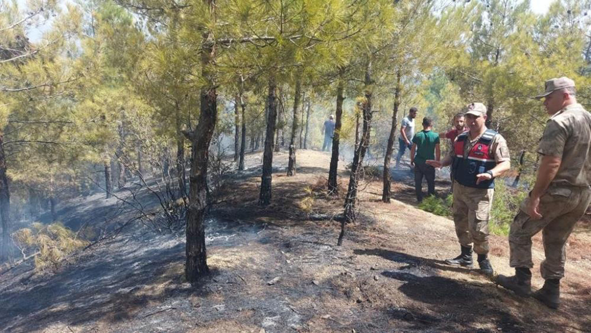 Hatay'da orman yangını! Söndürme işlemleri devam ediyor