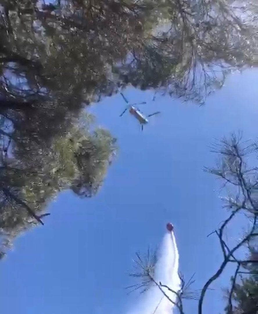 Antalya'da orman yangını! Söndürme işlemleri devam ediyor