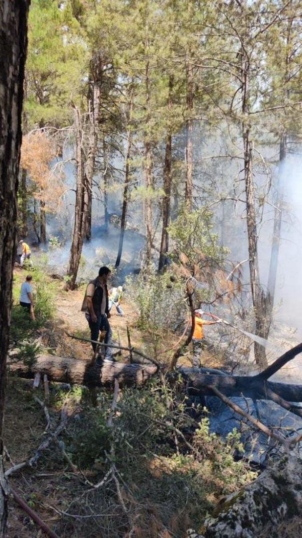 Antalya'da orman yangını! Söndürme işlemleri devam ediyor