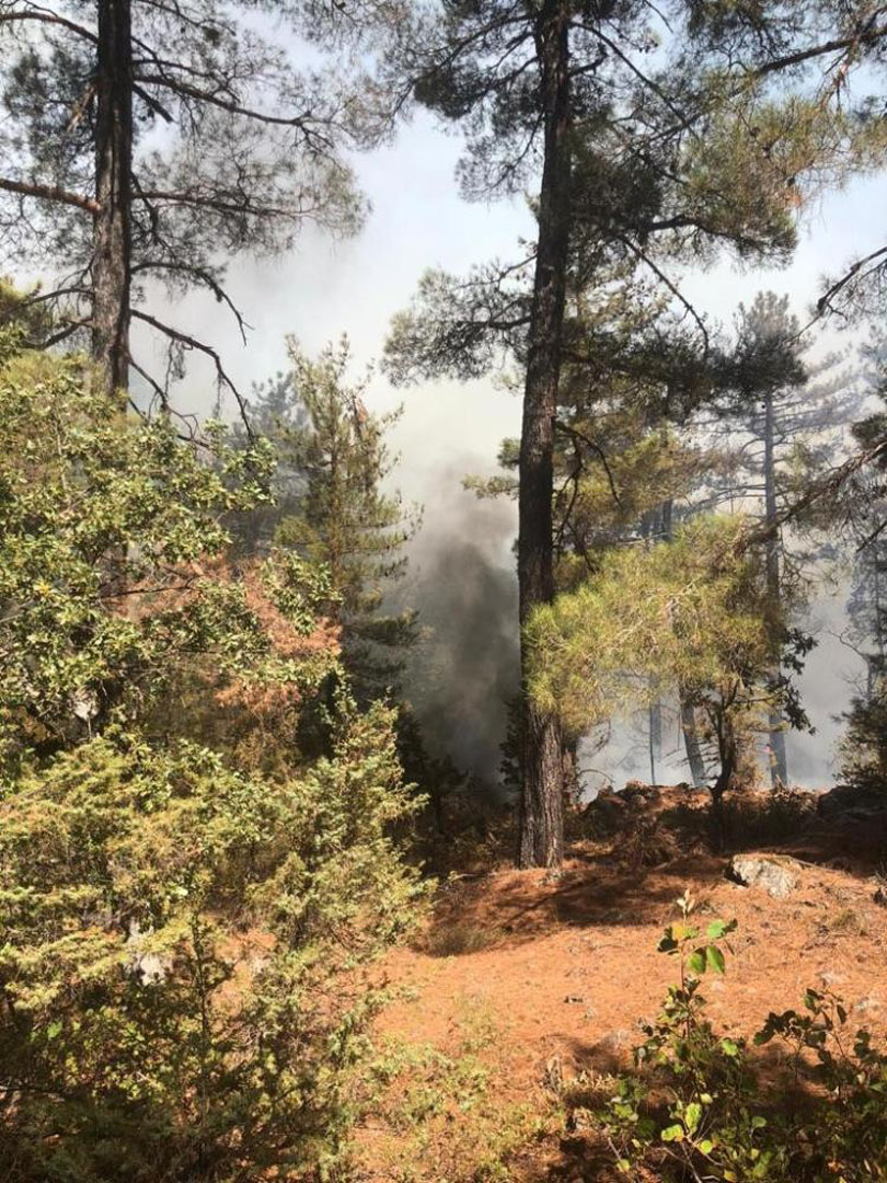Antalya'da orman yangını! Söndürme işlemleri devam ediyor