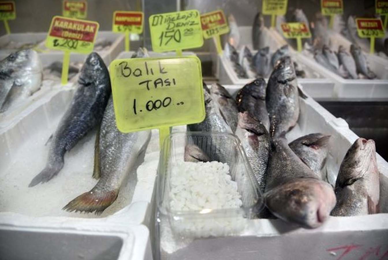 Halk arasında böbrek taşı düşürdüğüne inanılıyordu! Karakulak balığının başında oluşan otolit taşının fiyatı ateş pahası!