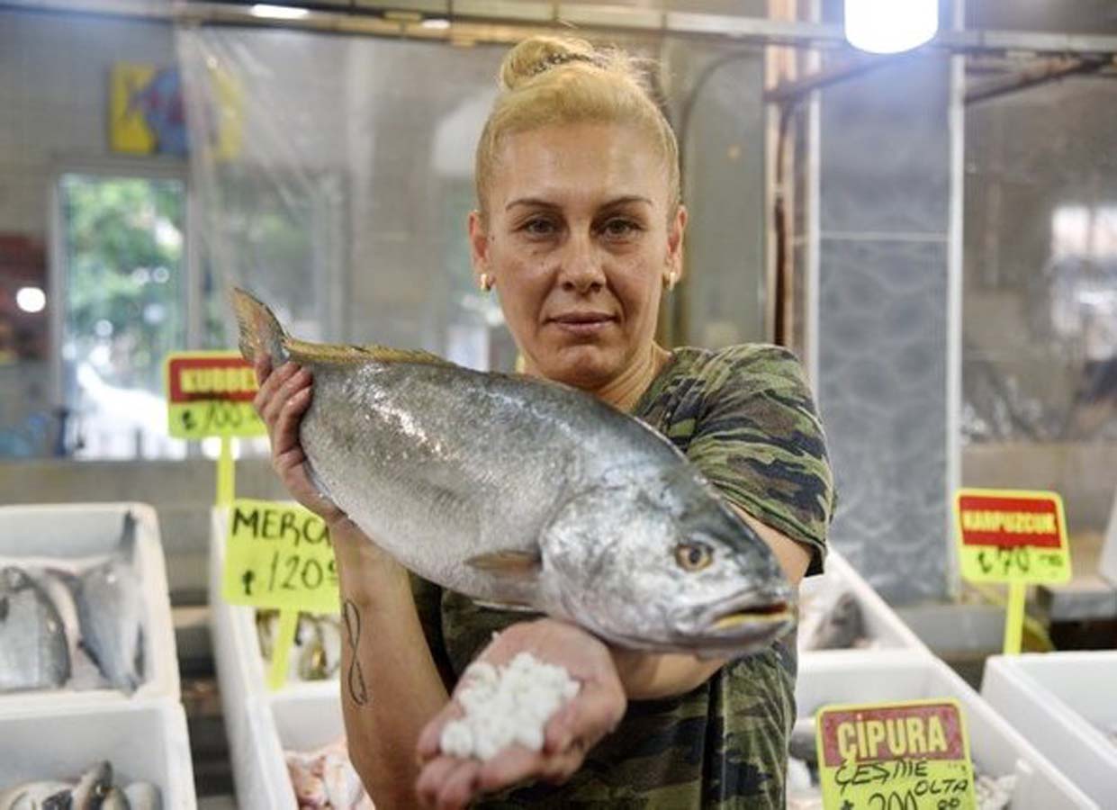 Halk arasında böbrek taşı düşürdüğüne inanılıyordu! Karakulak balığının başında oluşan otolit taşının fiyatı ateş pahası!