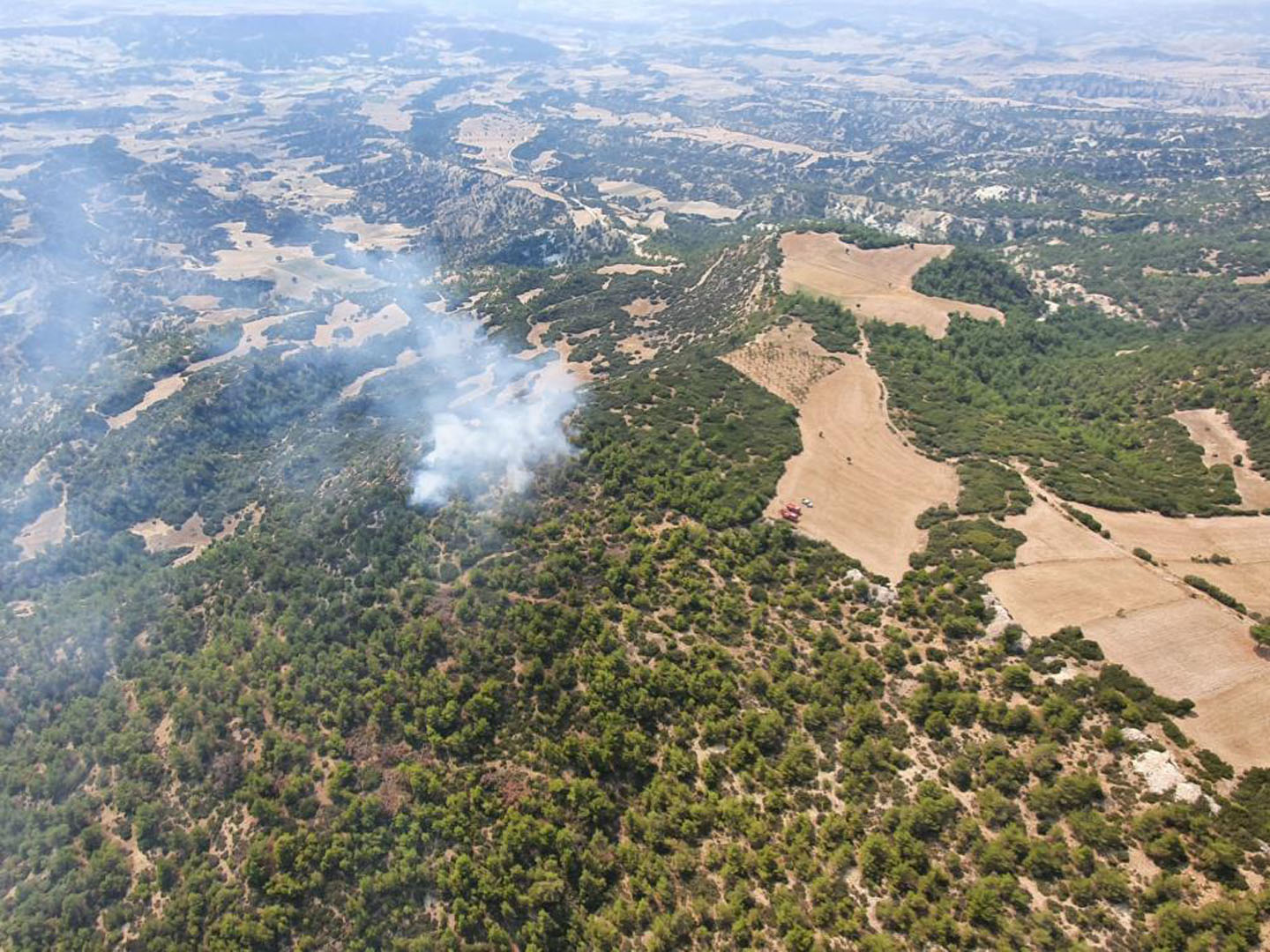Manisa'da korkutan orman yangını! Söndürme işlemleri devam ediyor