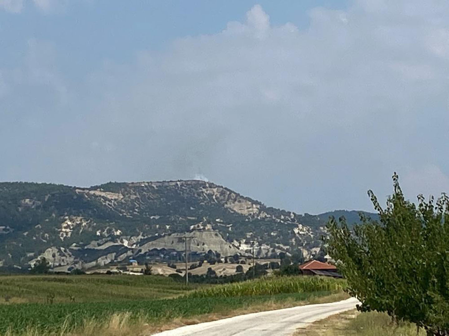 Manisa'da korkutan orman yangını! Söndürme işlemleri devam ediyor