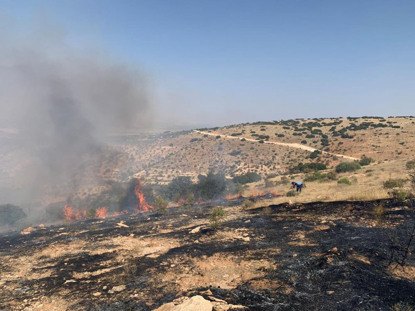 Gaziantep'te orman yangını! Ekipler müdahale ediyor!
