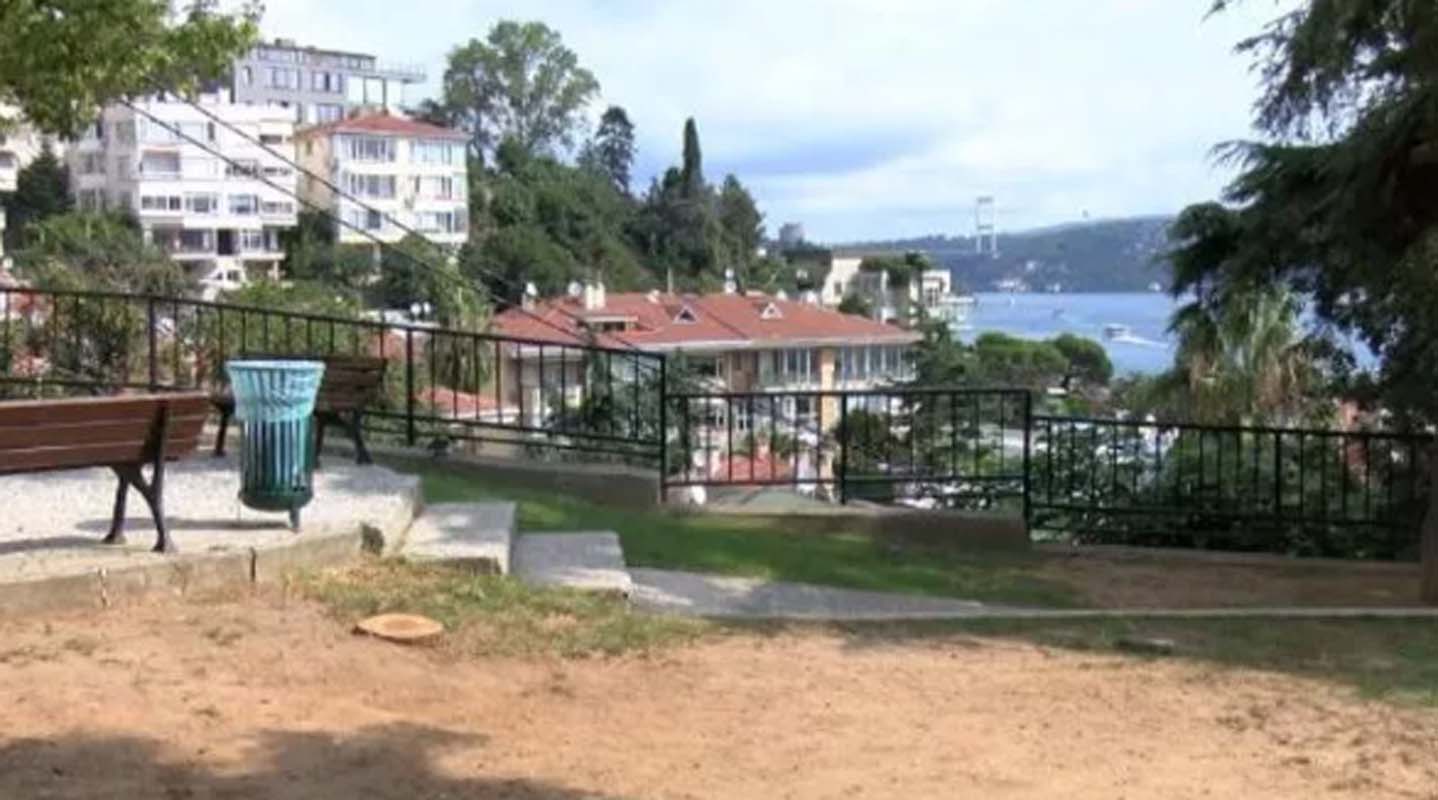 CHP ağaç katletmeye devam ediyor! Beşiktaş Ayazma Parkı'ndaki ağaçların kesilme sebebi sinirleri hoplattı! 