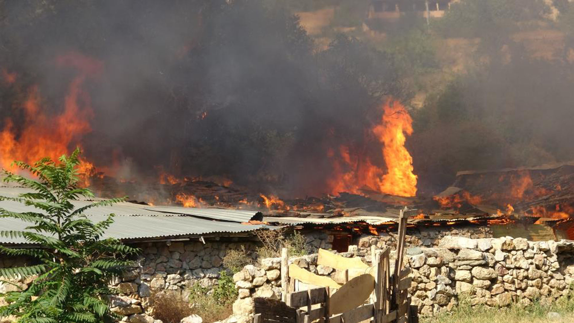 Tokat'ta korkutan yangın! Ağıl yanarak küle döndü!