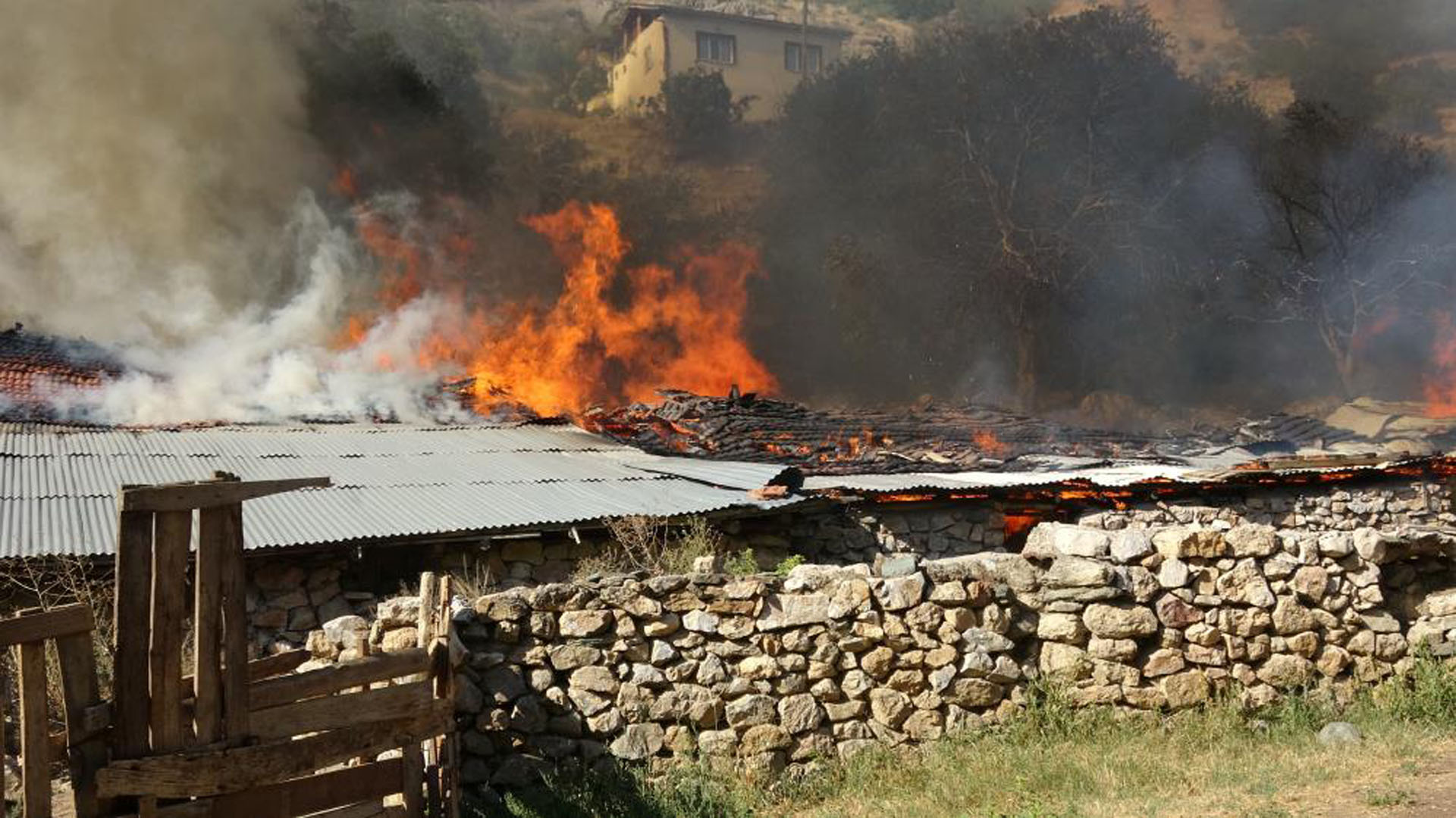 Tokat'ta korkutan yangın! Ağıl yanarak küle döndü!