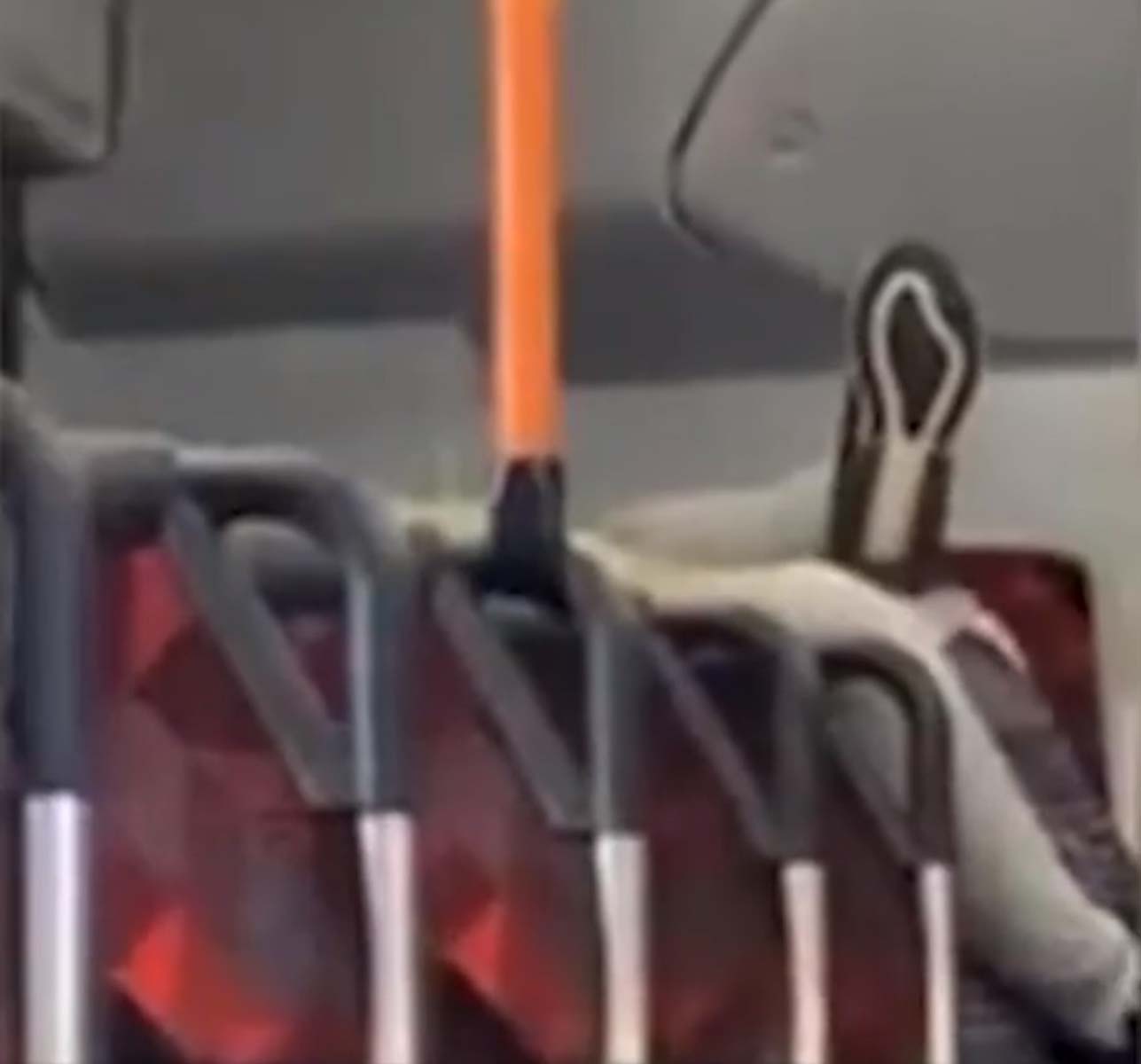 Yolcu otobüsünde skandal görüntü! Kimseye aldırmadan ilişkiye girdiler 