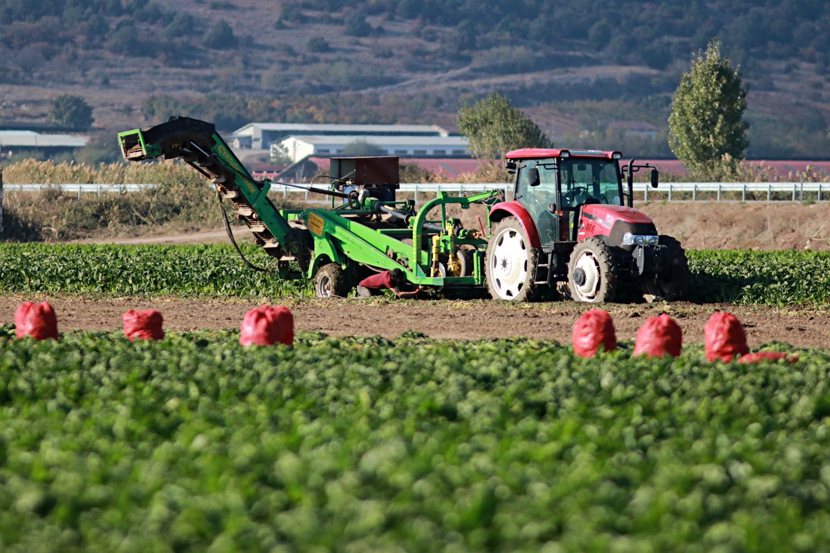 Bakan Vahit Kirişci müjdeli haberi verdi! Tarımsal destek ödemeleri bugün hesaplara aktarılıyor!