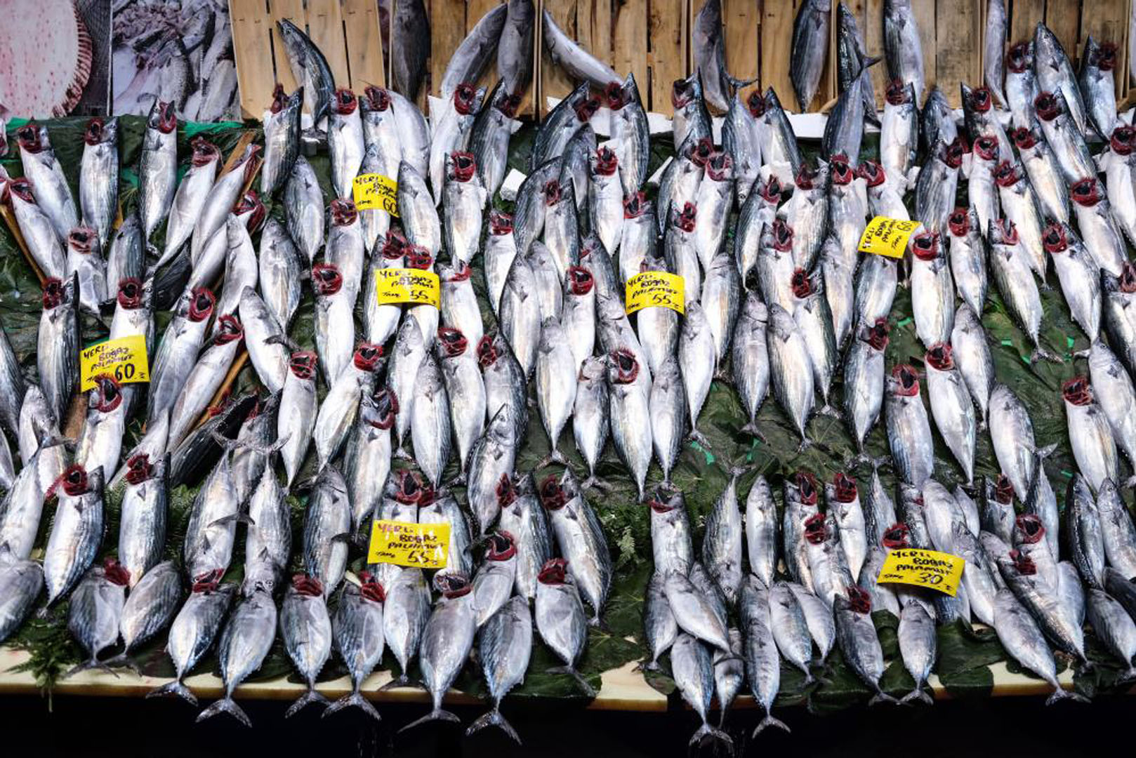 Vatandaşın cebi rahatladı! Balık fiyatları yarı yarıya düştü!