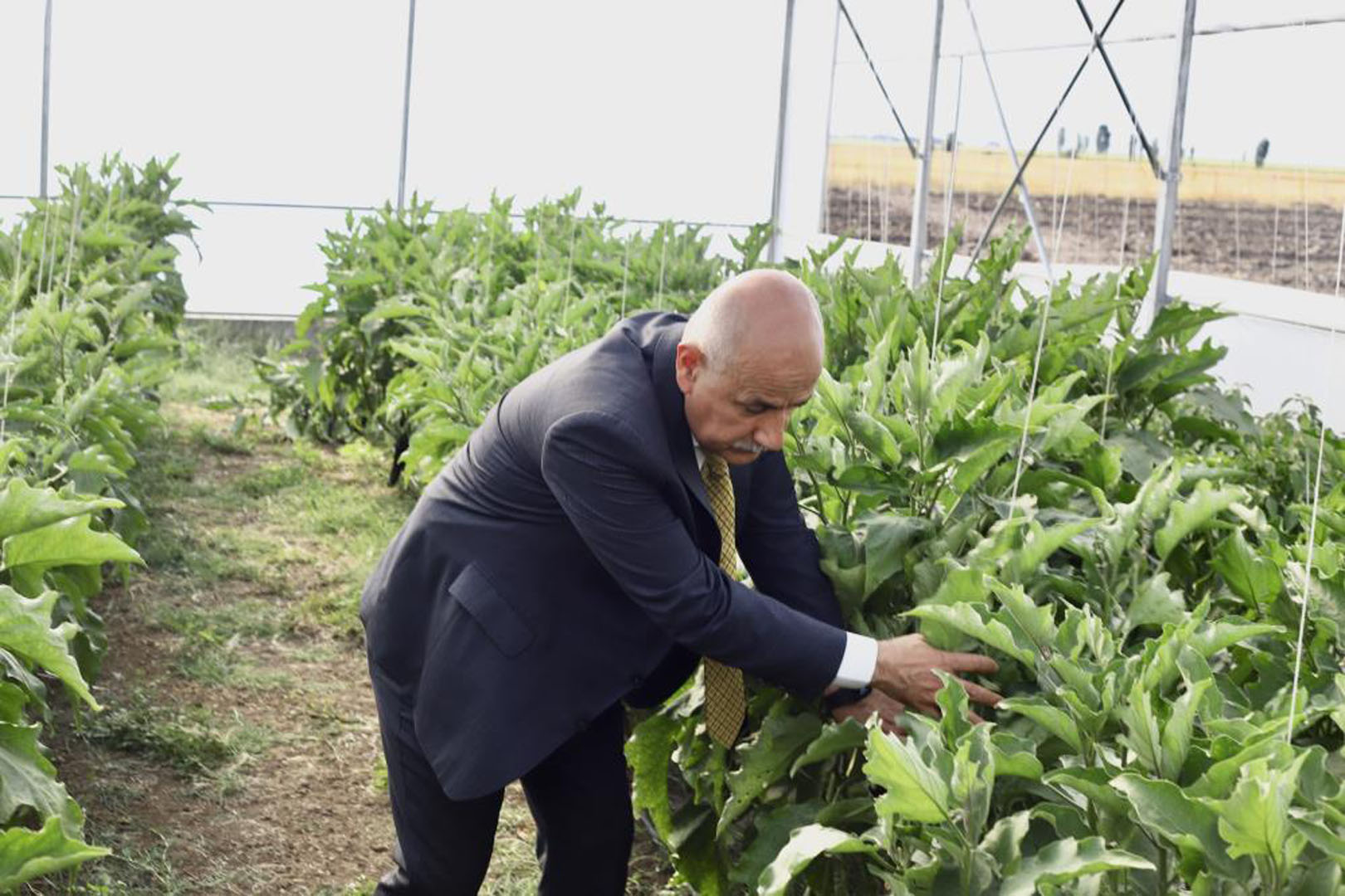 Bakan Kirişci: Tarımdaki başarımızla iftihar etmemiz lazım