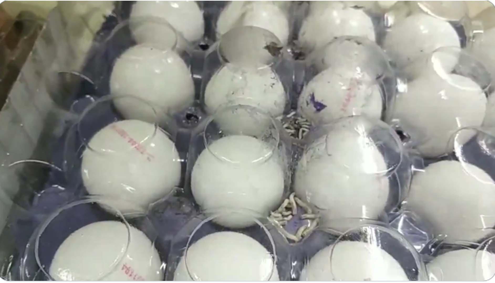 A101 marketinde şok edici görünütler! Kurtlanmış yumurtaları raflara koyarak satışa çıkardılar!