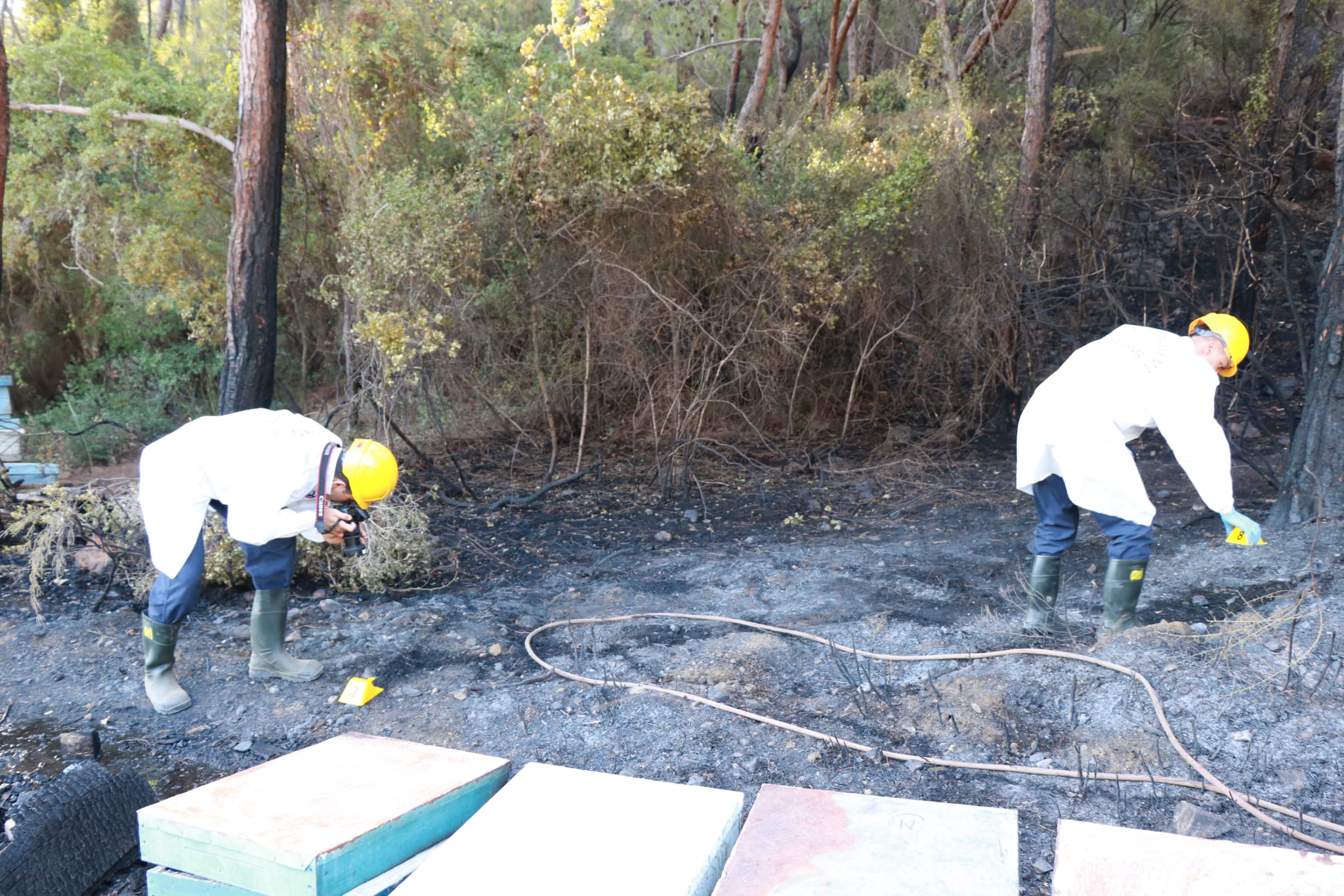Ümit Özdağ, Marmaris'teki yangını sığınmacılar çıkardı dedi, İsmail Çataklı'dan yanıt gecikmedi: Malum şahıstan bir yalan daha