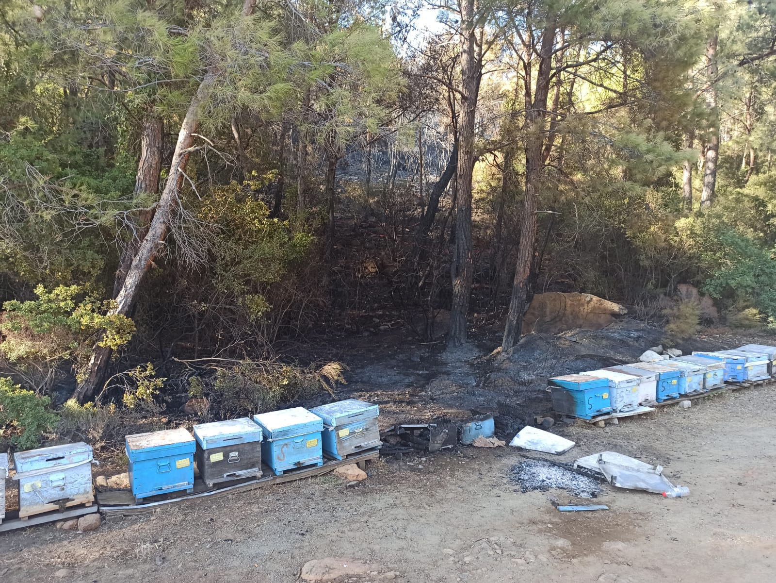 Ümit Özdağ, Marmaris'teki yangını sığınmacılar çıkardı dedi, İsmail Çataklı'dan yanıt gecikmedi: Malum şahıstan bir yalan daha