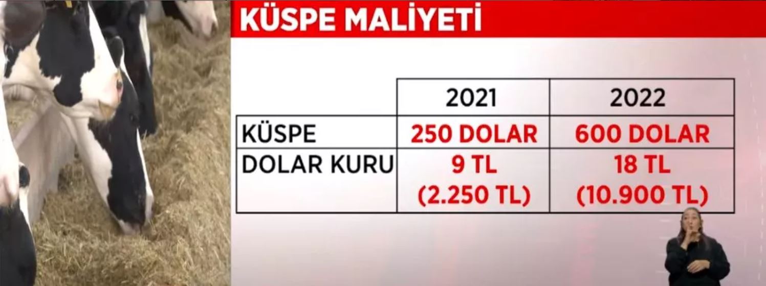 Et ve süt üreticilerinden kötü haber! Fiyatlar artacak! 