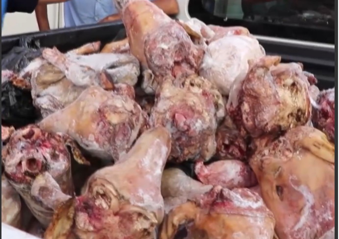 Şanlıurfa zabıtasından kasap denetimi! 3 bin ton bozuk et ve sakatat ele geçirildi!