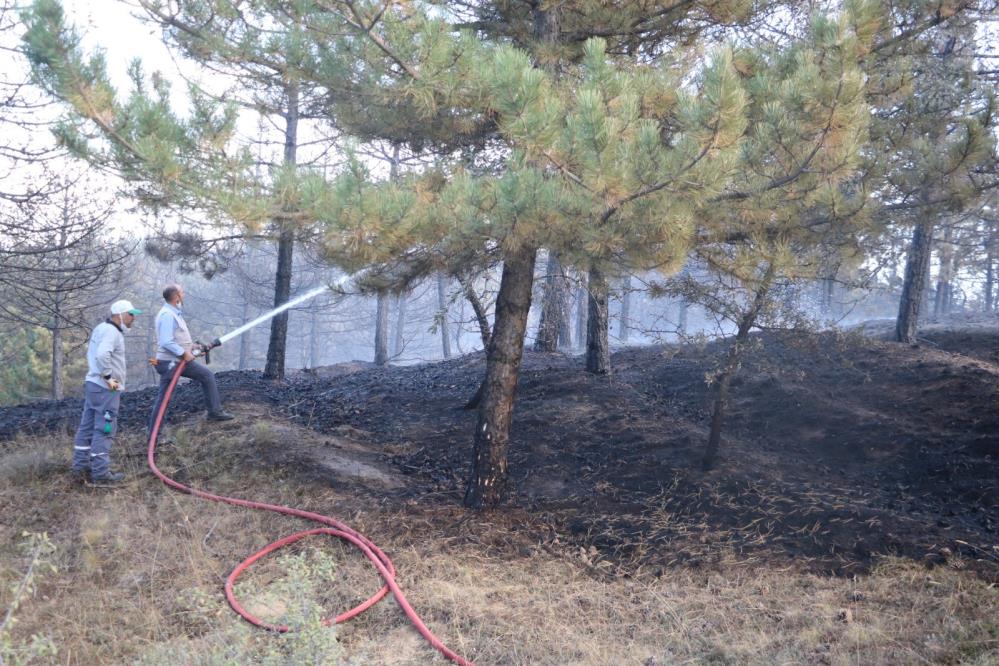 Afyonkarahisar'da orman yangını çıktı! 3 dönümlük alan küle döndü