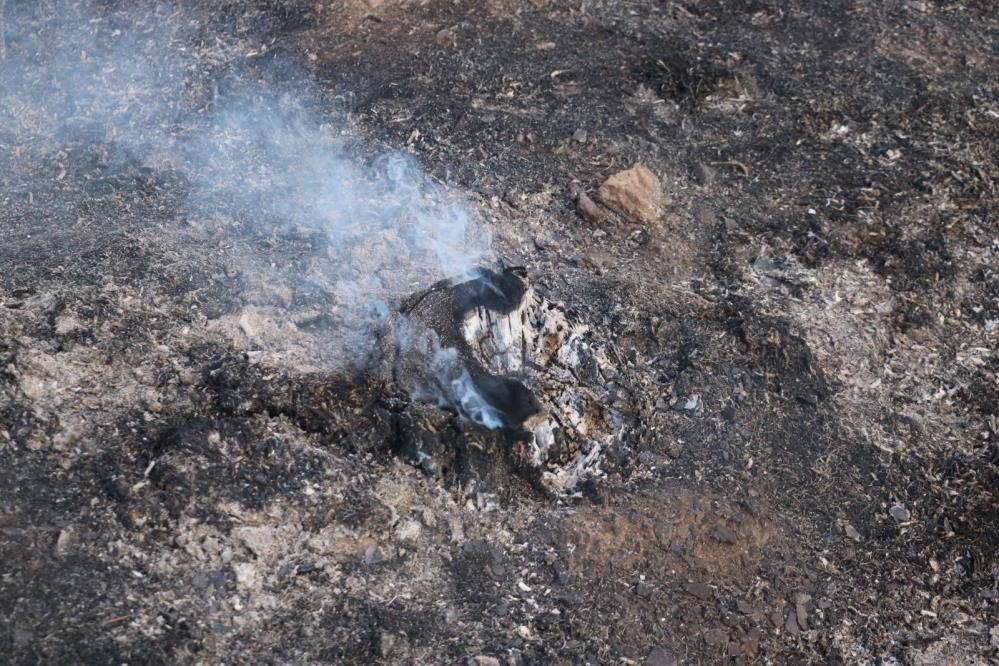 Afyonkarahisar'da orman yangını çıktı! 3 dönümlük alan küle döndü