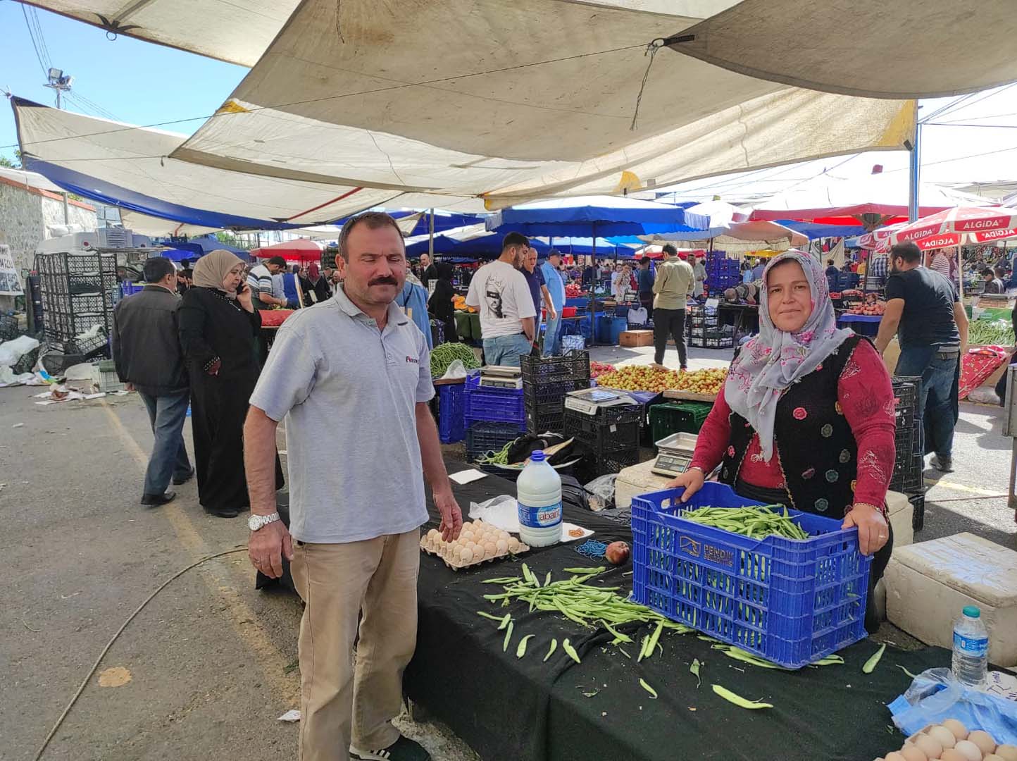 Pendik Belediyesi çiftçilere desteğini sürdürüyor! İlk fideler sebzelerini verdi!