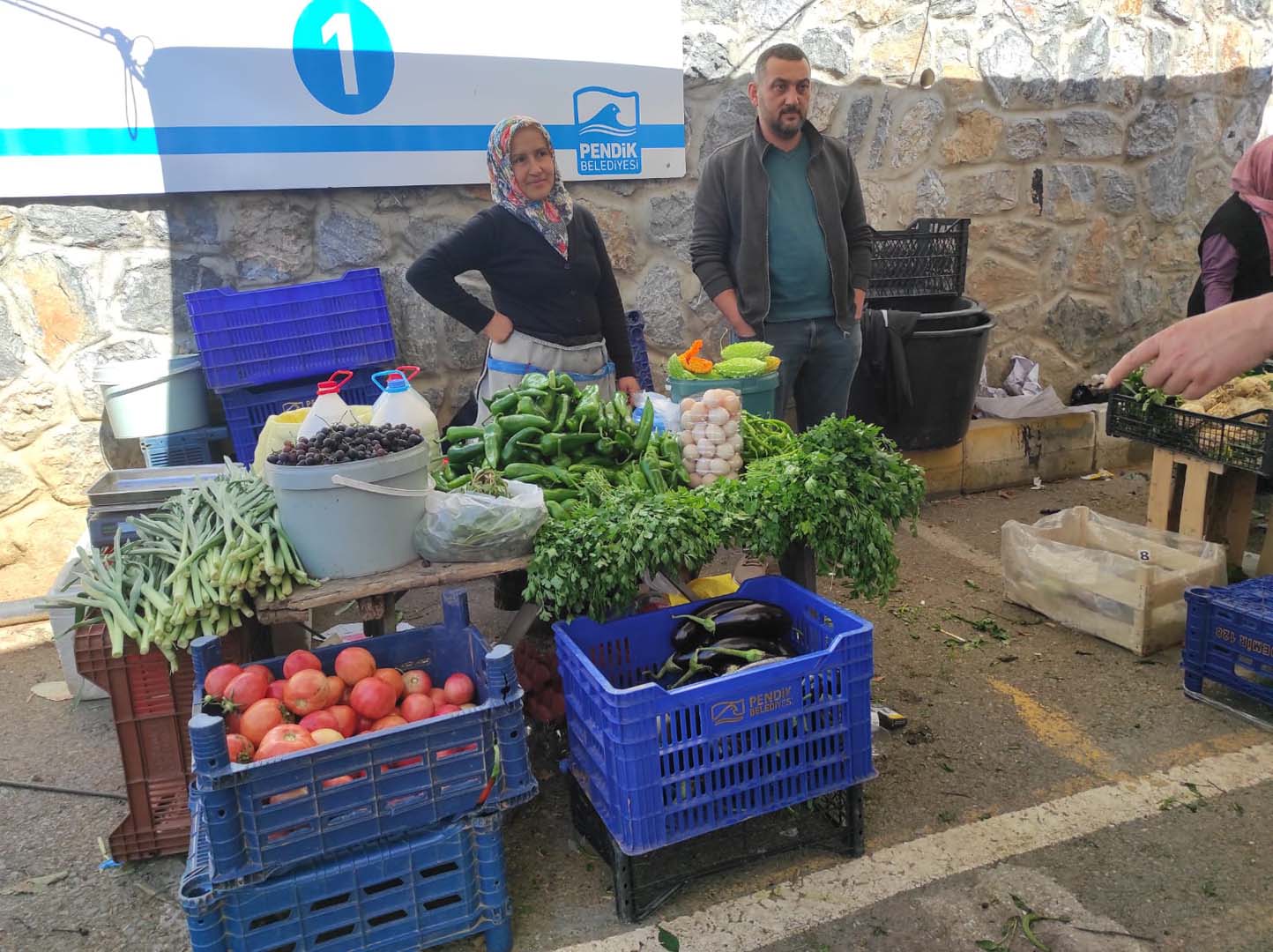 Pendik Belediyesi çiftçilere desteğini sürdürüyor! İlk fideler sebzelerini verdi!