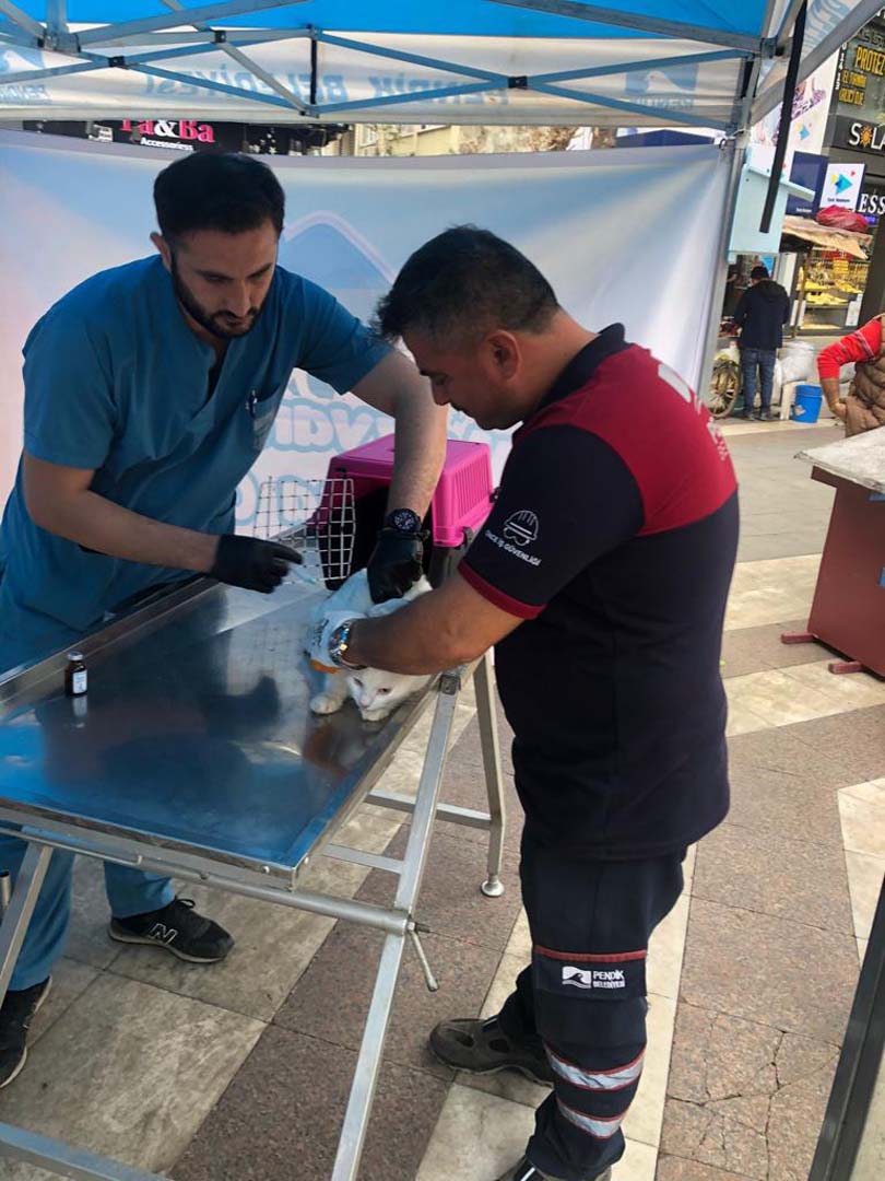 Pendik'te Hayvanları Koruma Günü etkinliği! Çocuklar Satın almayın sahiplenin mesajı verdi!