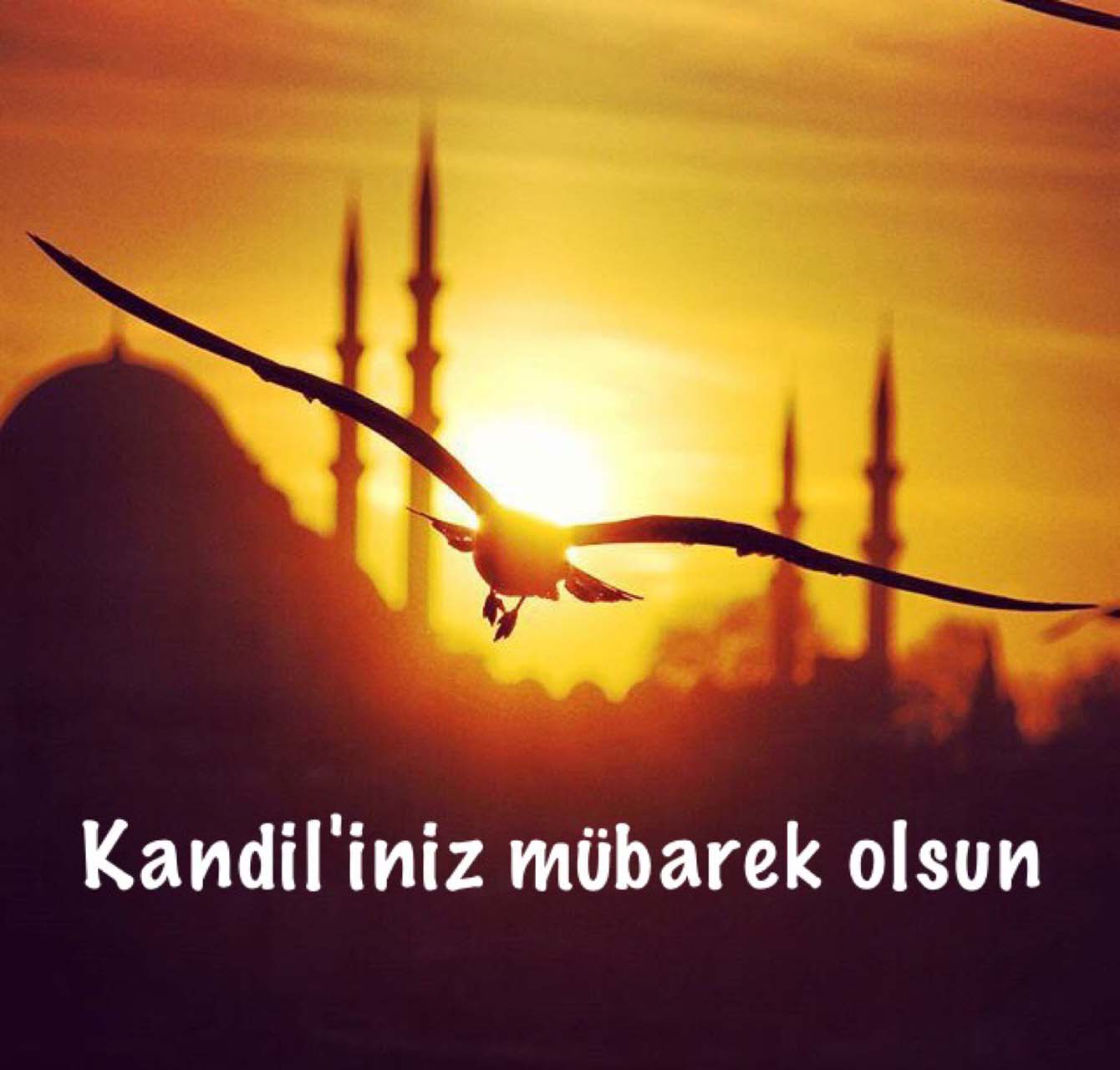 Hz. Muhammed'in doğum günü olarak kutlanan kandil hangisidir?