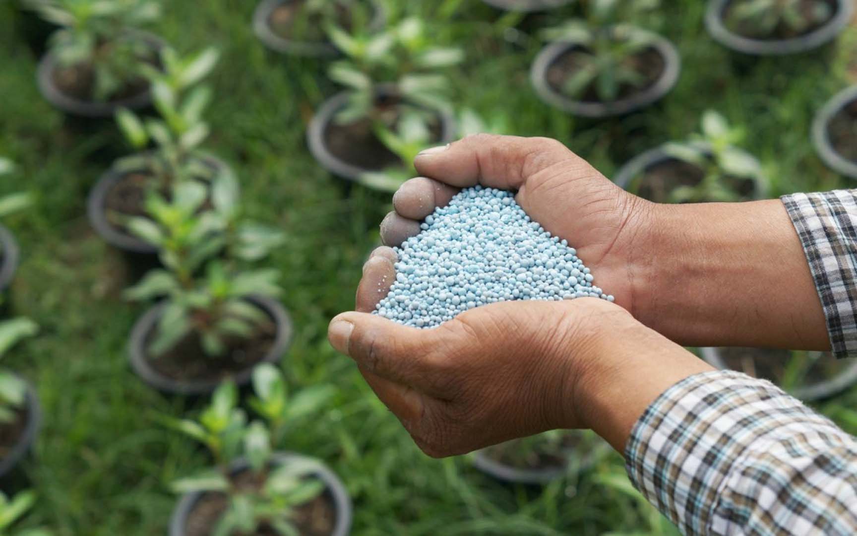 Gübre Fiyatları 2022 Güncel! Tarım Kredi Gübre Fiyatları Ne Kadar, Kaç TL? İşte Fiyat Listesi