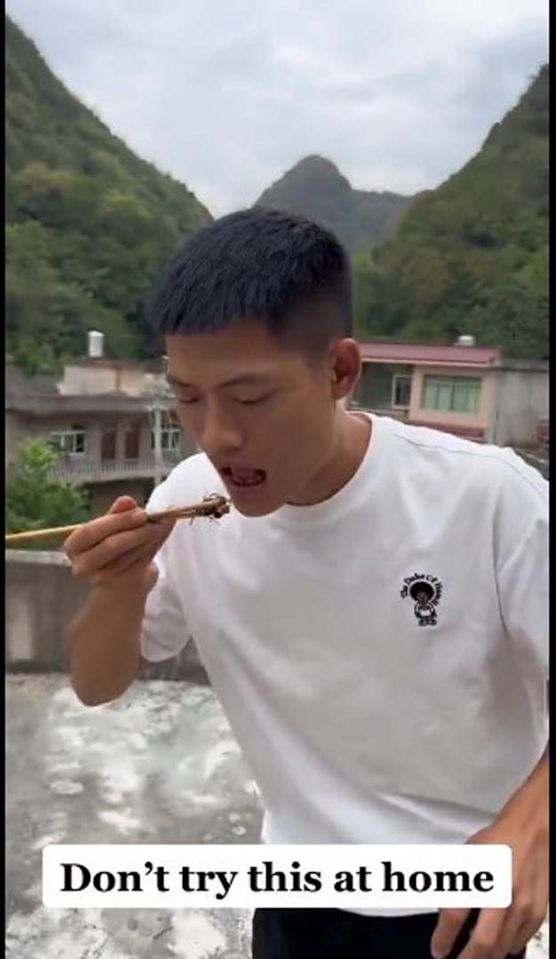 Genç influencer yemeye çalıştığı hayvandan derin darbe aldı! Akıllanmadı, tekrarı olacağını söyledi!