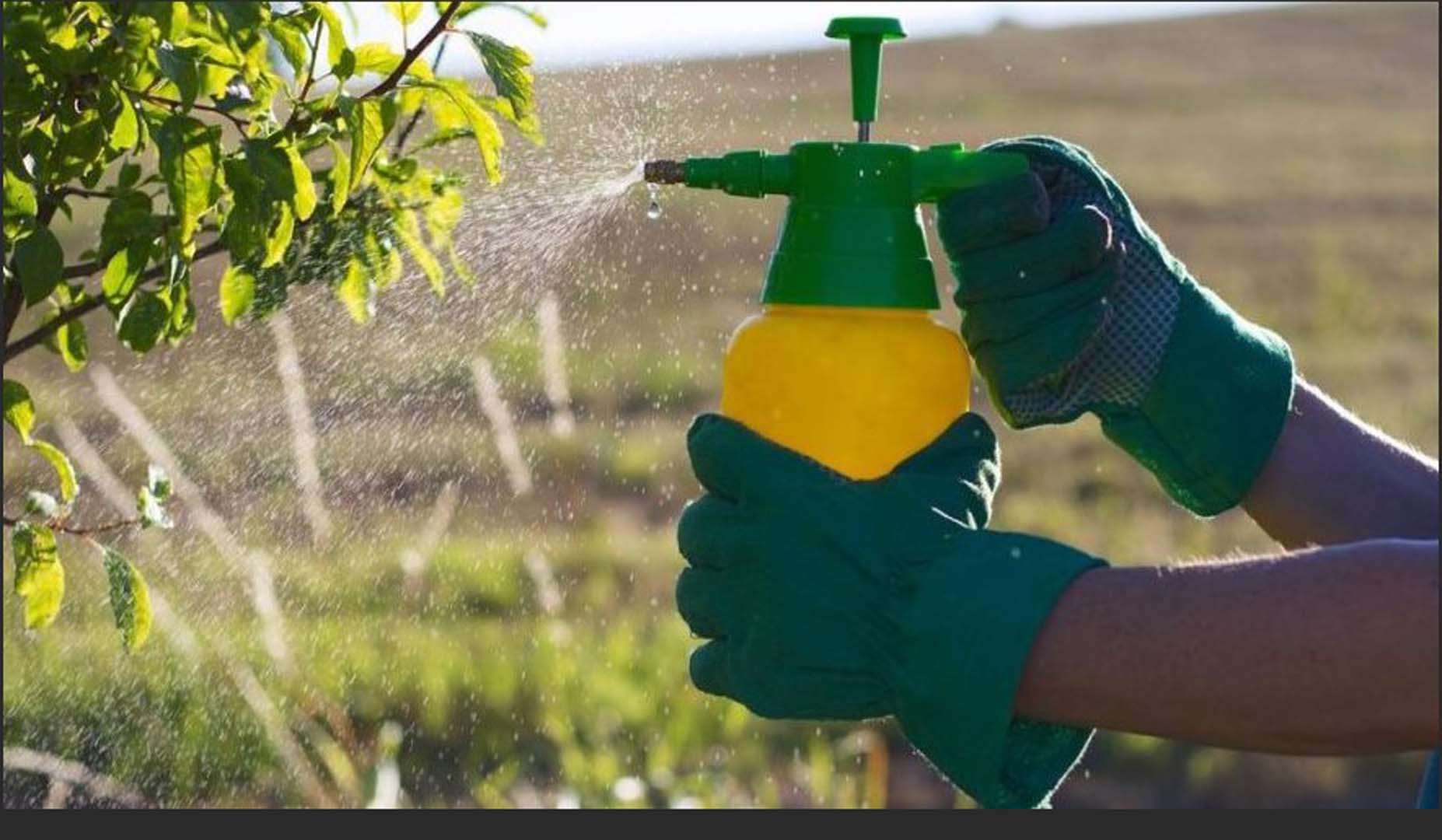 2022 Zirai İlaç Bayiliği Nasıl Alınır, Başvuru Şartları Neler? Bayilik Sınavı 2022 ne zaman?