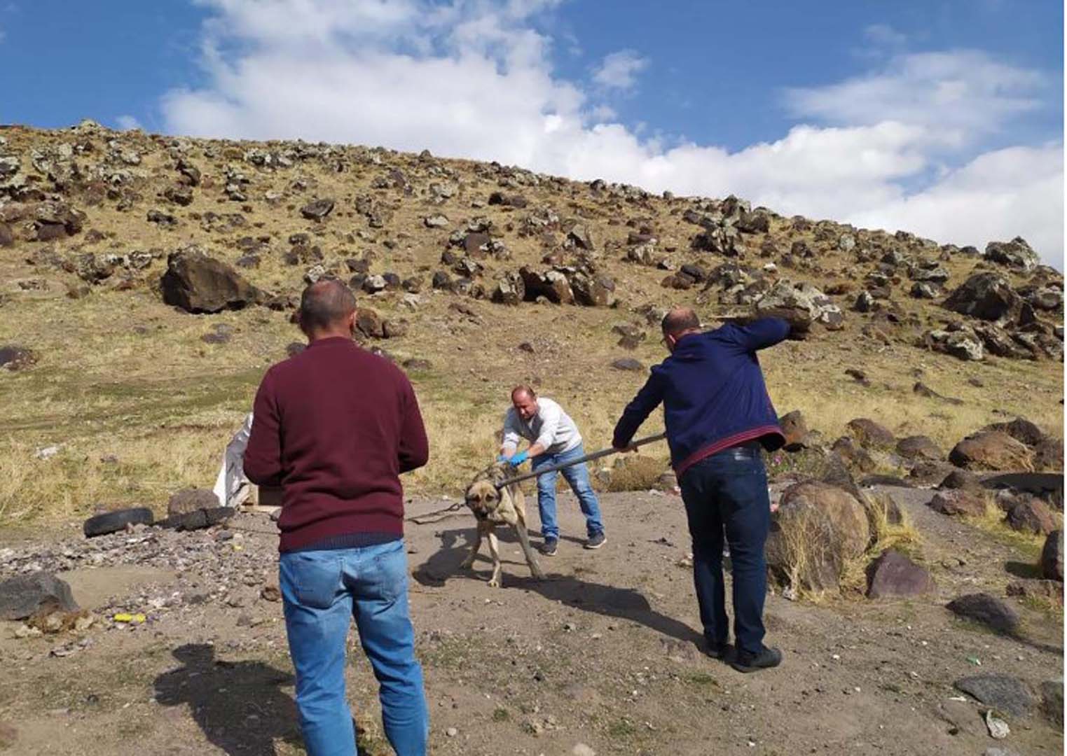 Bitlis'te köpek ısırması sonucu hastaneye kaldırılmıştı! 10 yaşındaki çocuktan acı haber!