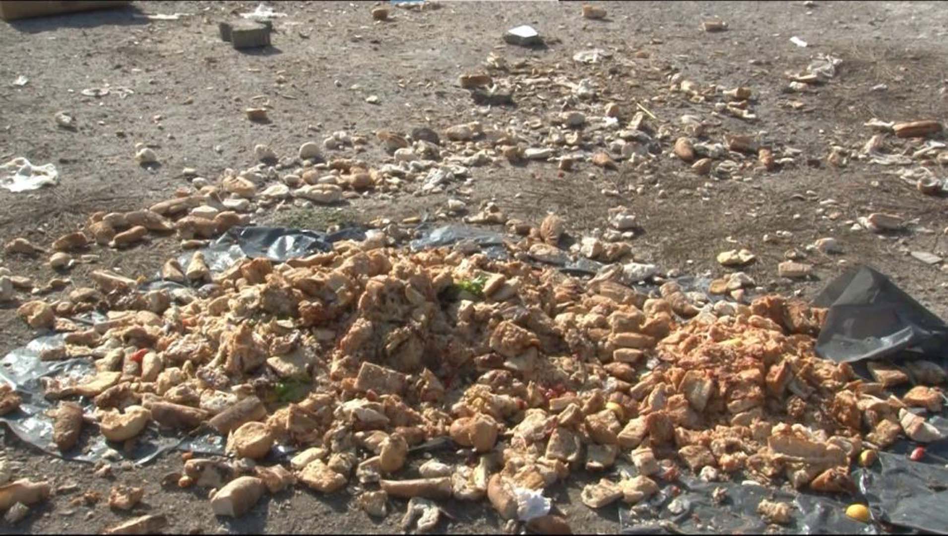 Eskişehir'de yürek burkan olay! Garip vatandaş sokak hayvanlarının yediği yemekten, içtiği sudan içiyor!