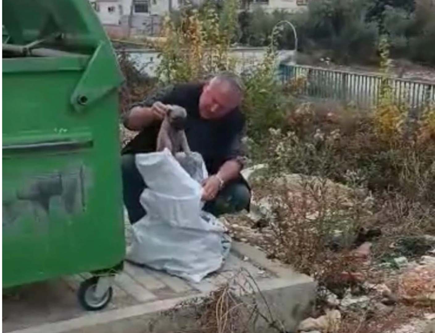 Vicdansızlığın böylesi! Sesin geldiği yöne yürüyen vatandaş yürek yakan görüntüyle karşılaştı!