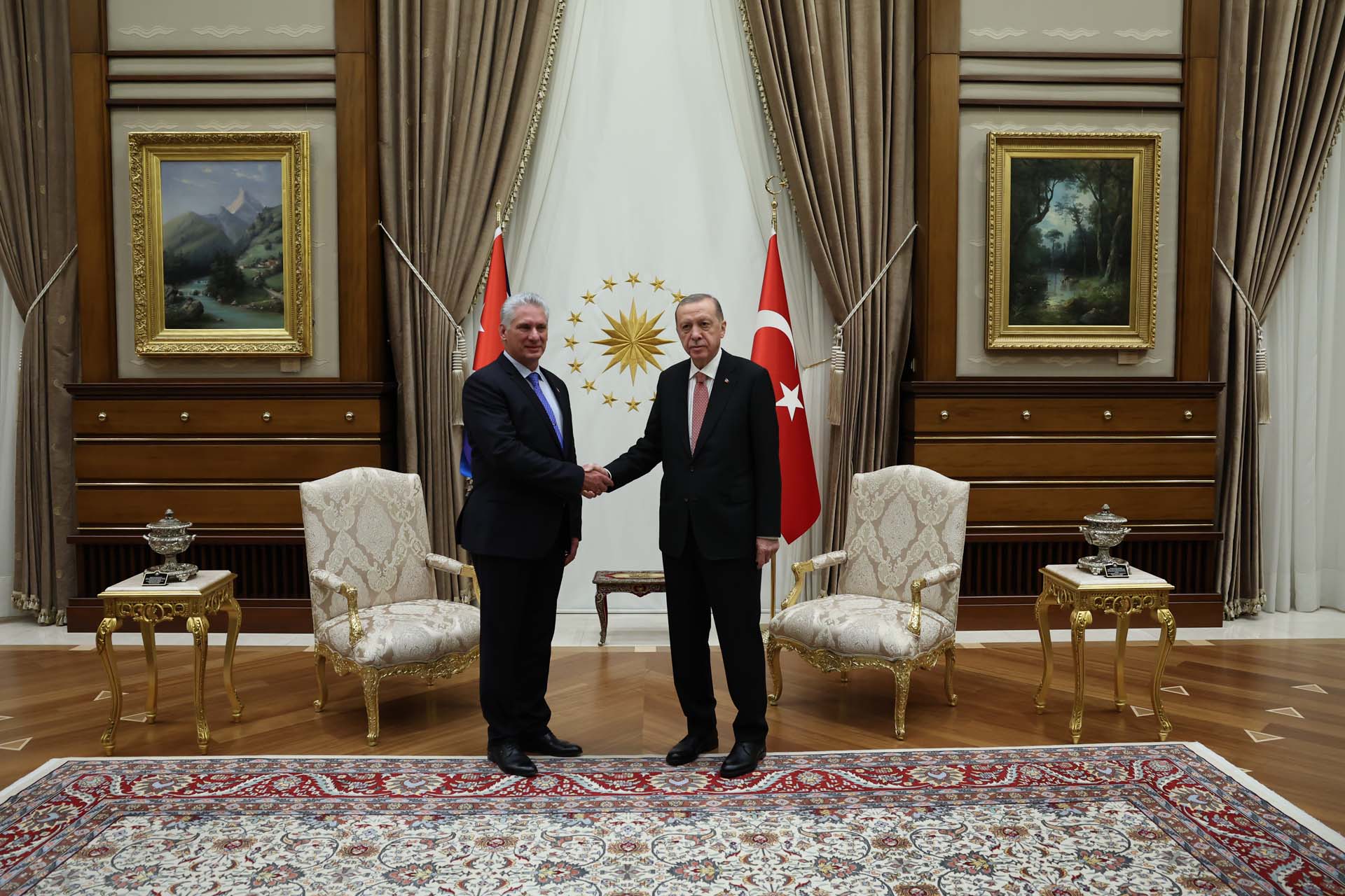 Cumhurbaşkanı Erdoğan, Kübalı mevkidaşı Canel Bermudez ile görüştü! Ticaret hacmi hedefi belirlendi