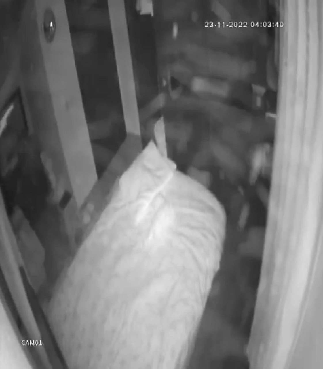 Düzce depreminin etkisi güvenlik kamerasına yansıdı! Gardırobun kapağı depreme dayanamadı 