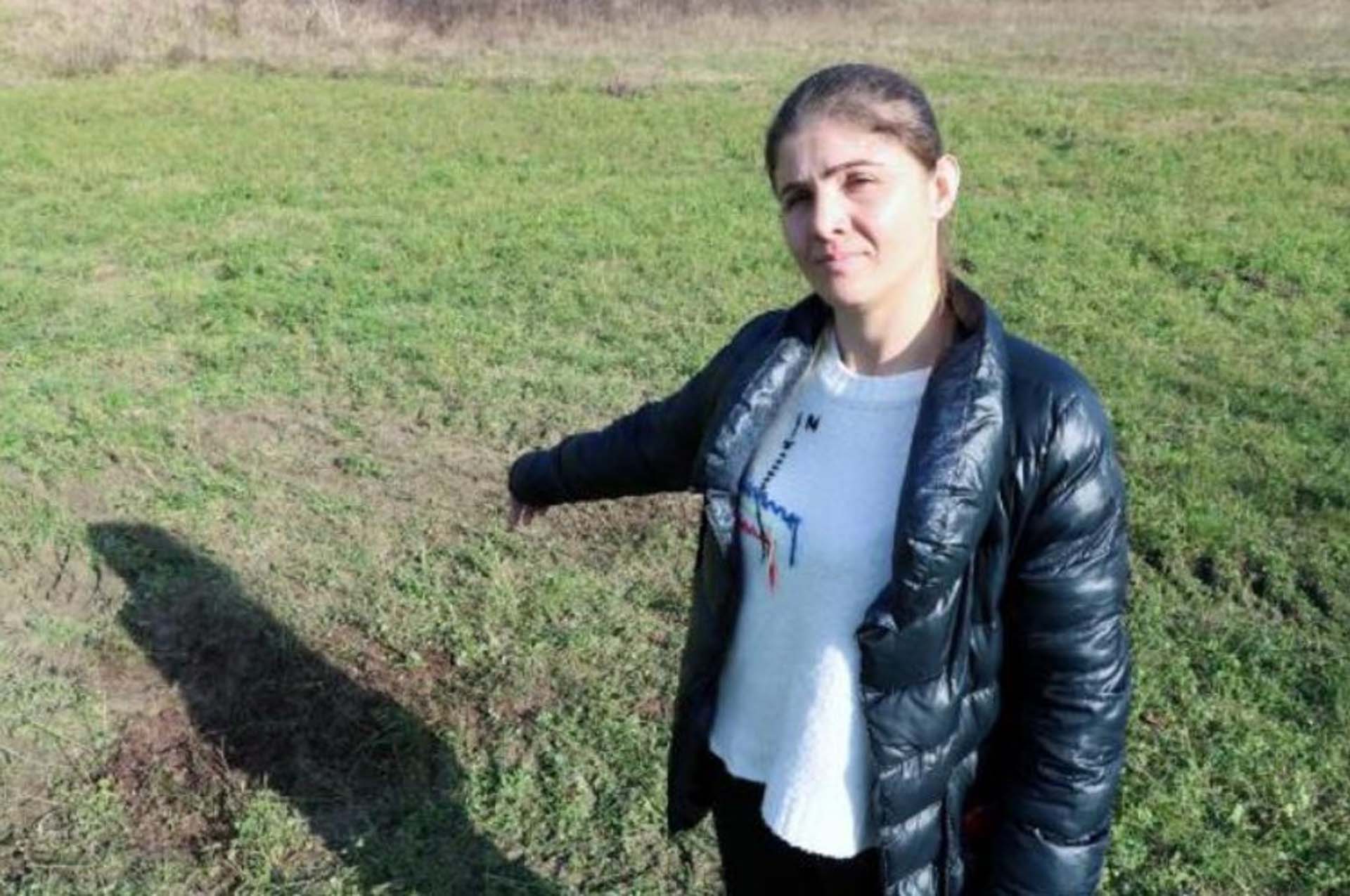 Zonguldak'ta insanlık dışı olay! Gebe olan mandayı başından vurdular 