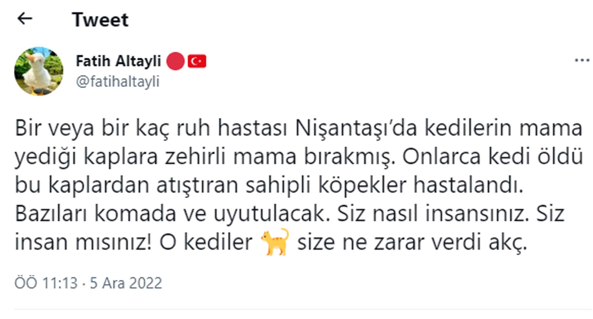 Siz de vicdan kalmamış! Kedi ve köpeklerin mama yediği kaba zehir bırakmışlar: Ölen kedi ve hastalanan köpekler var