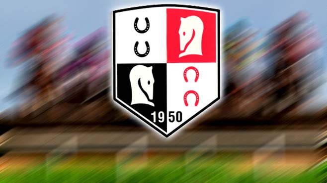 TJK mobil nasıl indirilir? işte TJK mobil indirme linkleri