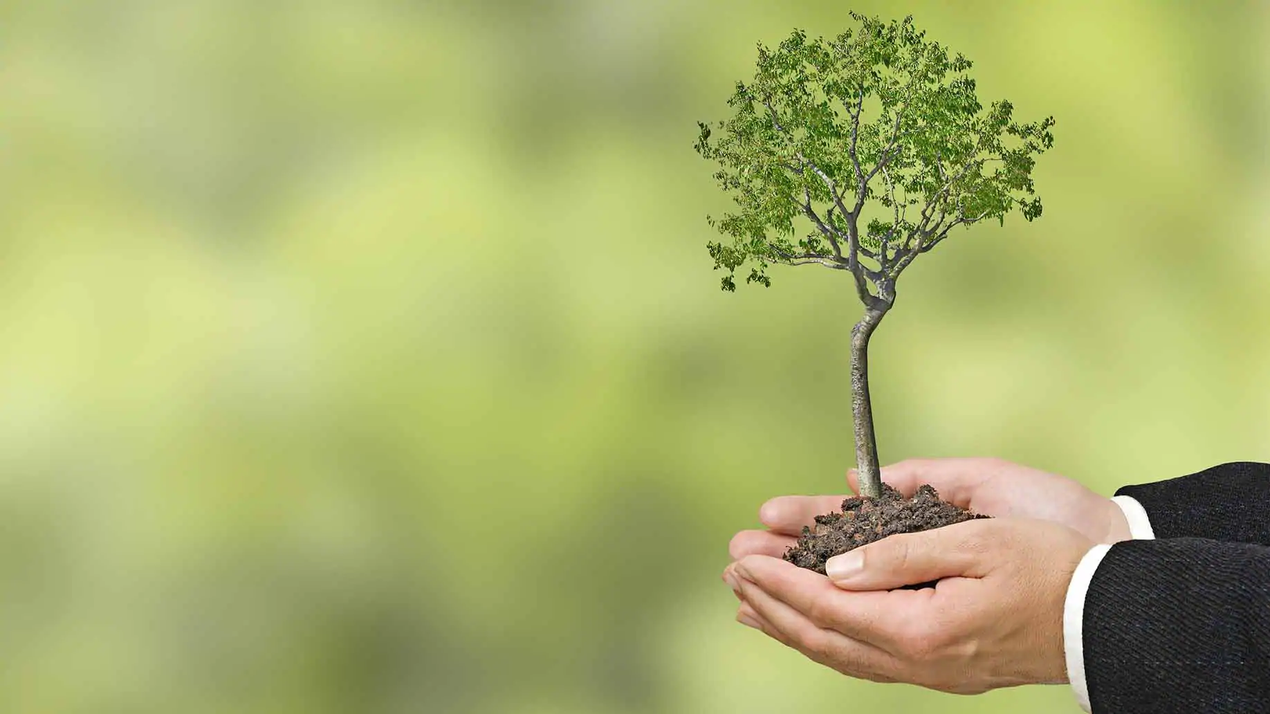 Karbon ayak izi nedir? Karbon ayak izi nasıl hesaplanır? 