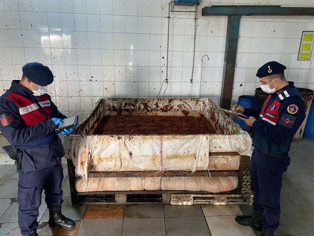 İzmir'de mide bulandıran görüntüler! Besi çiftliğinde üretilen salçalar görenleri şok etti