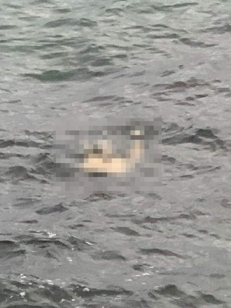 İstanbul'da korku dolu dakikalar! Sahilden çıkan ceset çıktı