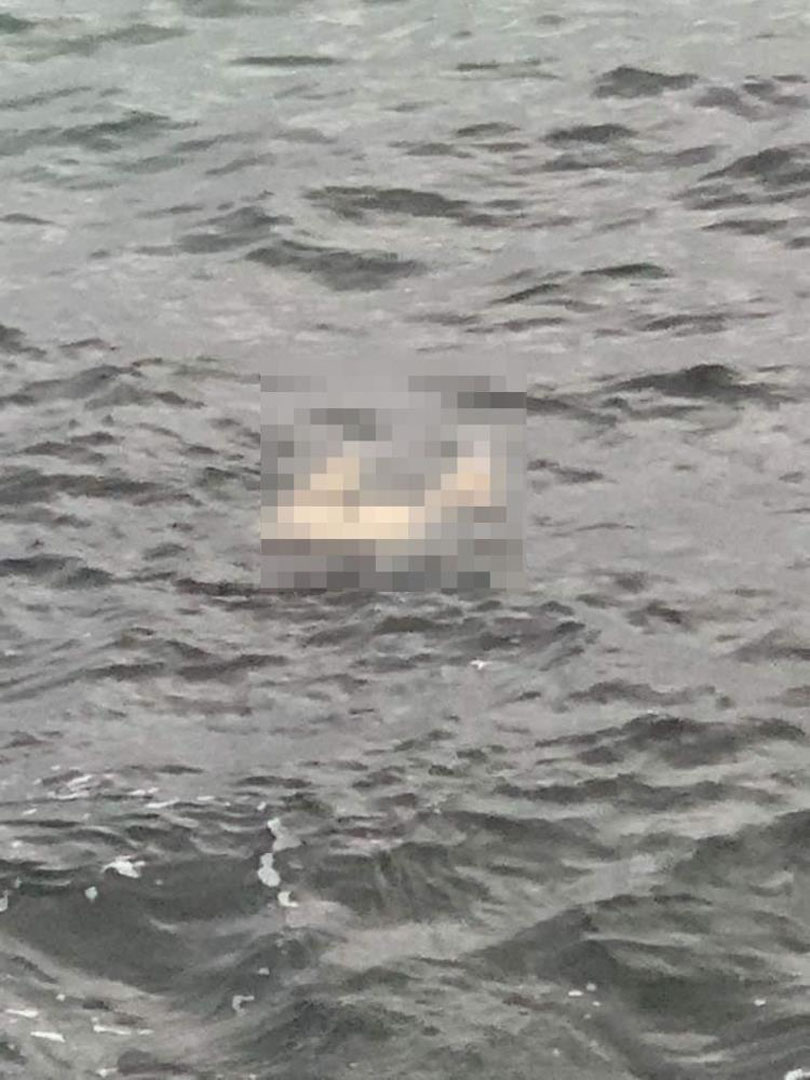 İstanbul'da korku dolu dakikalar! Sahilden çıkan ceset çıktı