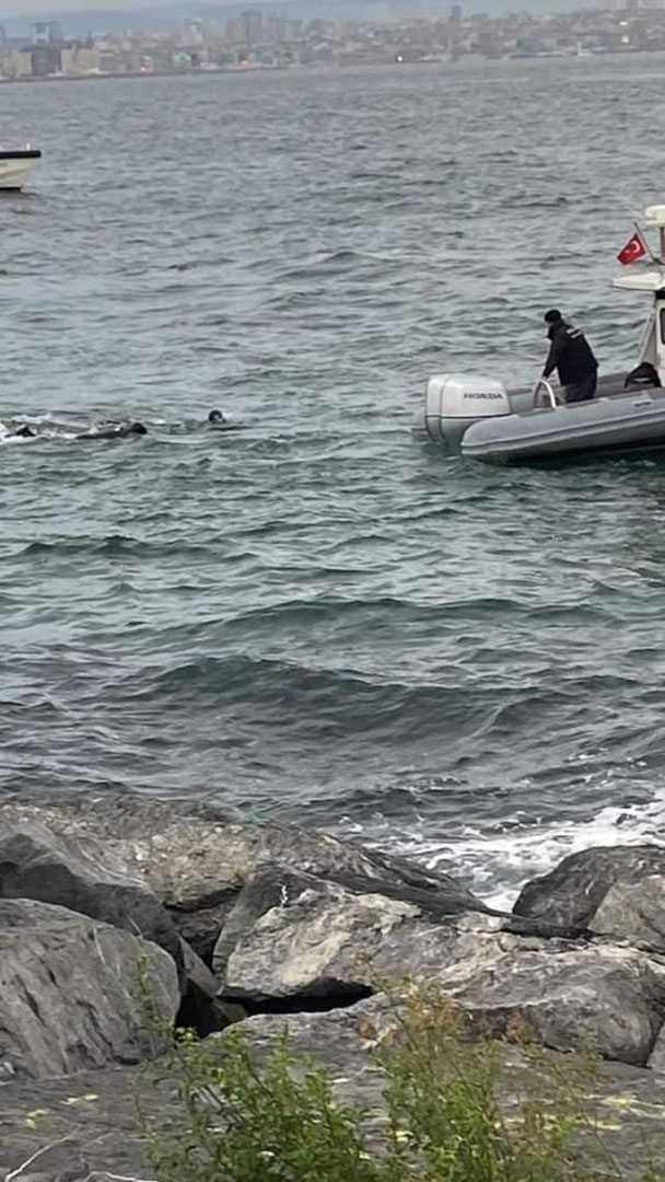 İstanbul'da korku dolu dakikalar! Sahilden çıkan ceset çıktı