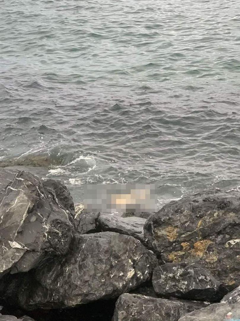 İstanbul'da korku dolu dakikalar! Sahilden çıkan ceset çıktı