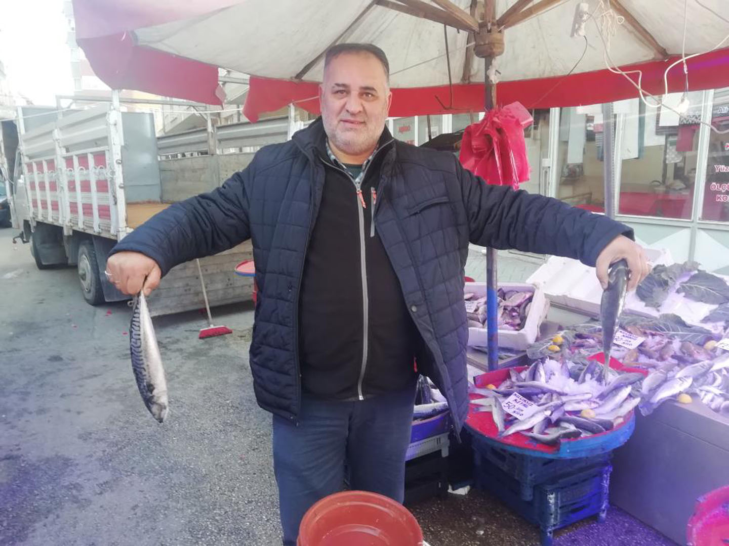 Hamsi bolluğu fiyatlara yansıdı: Yarı yarıya düştü