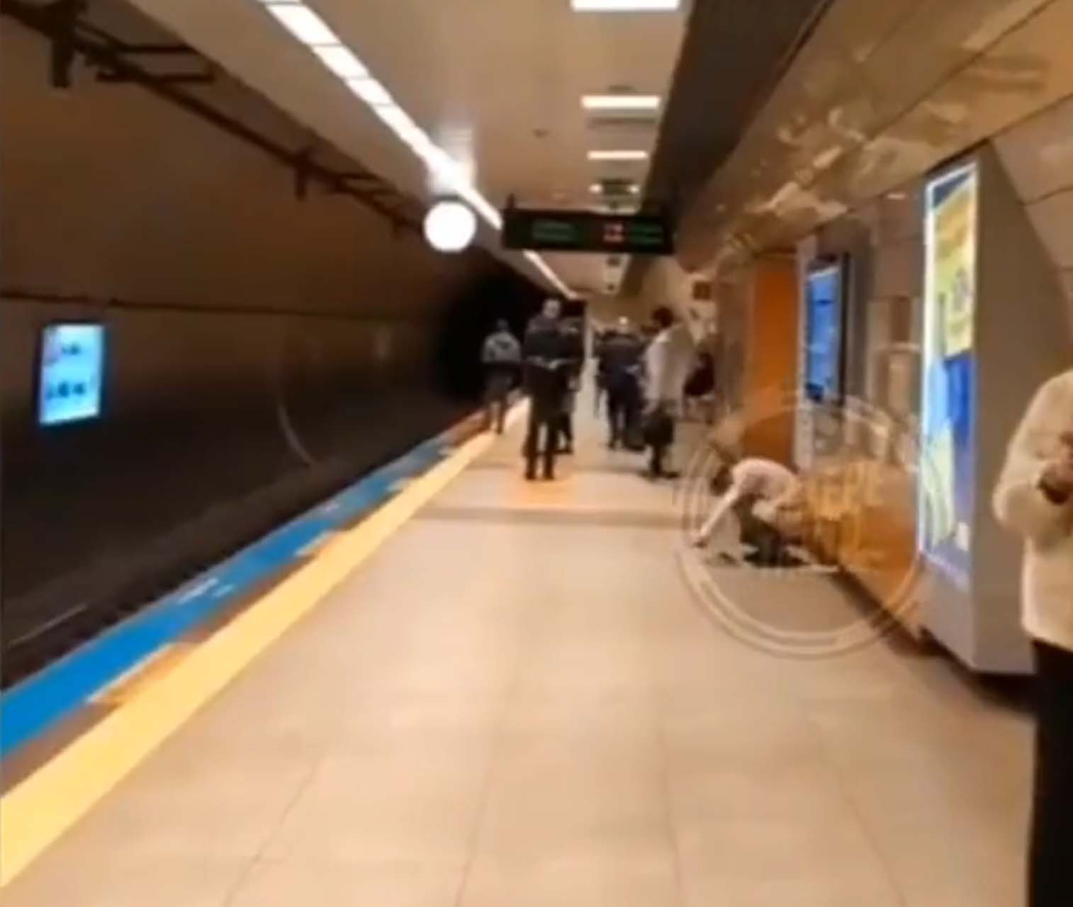 İstanbul Maltepe'de şaşkınlık yaratan görüntü! Metro istasyonunda tuvaletini yaptı, görenler inanamadı! 